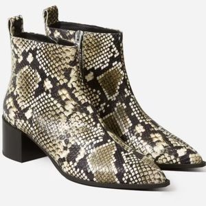 EverLane leather boss boot in snakeskin